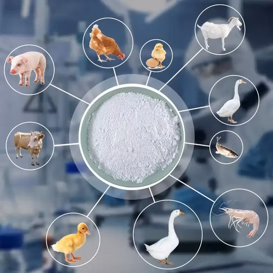 Китай завод оптовой оптовой пищевой глицин CAS 56